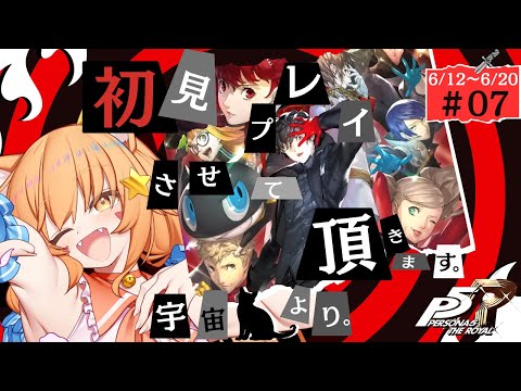 🔴⑦6/12～6/20　ネタバレ注意！【ペルソナ5　ザ・ロイヤル】初見！ペルソナ3で激ハマりした宇宙猫が遊んでみる！　^ↀᴥↀ^