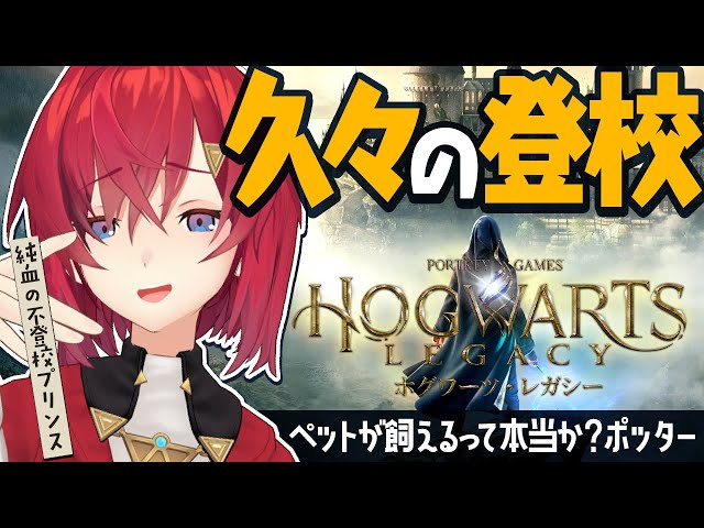 【ホグワーツ・レガシー】ペットを飼えるって本当か？ポッター【にじさんじ/アンジュ・カトリーナ】のサムネイル