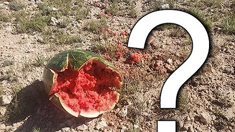 1 mile shot 300 PRC Bergara LRP 2.0 VS  watermelon at 1 mile!