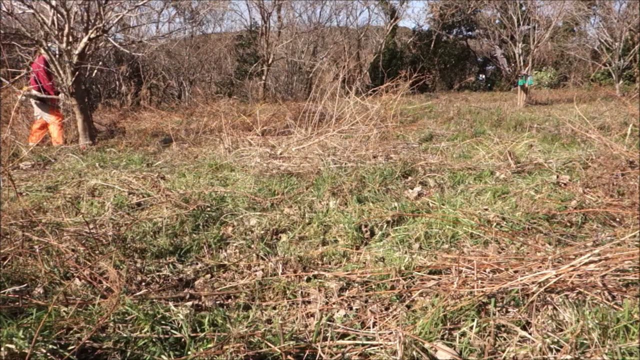 畑で遊ぼう　その３８７　草刈機だって疲れます