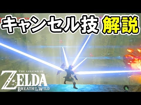 解説 戦闘で違いを見せる キャンセル技 紹介 ゼルダの伝説 ブレスオブザワイルド Youtube