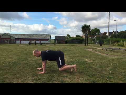 Bear Crawl - Animal Movement
