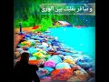 نشيد ٨٦ إذا كنت في نعمة فارعها فإن الذنوب تزيل النعم نشيد ٨٦ إذا كنت في نعمة فارعها فإن الذنوب تزيل النعم