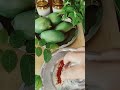 Aam Ka Sharbat #viralvideo #food #recipe #cooking #easyrecipe #foodie #mango #easymangorecipes