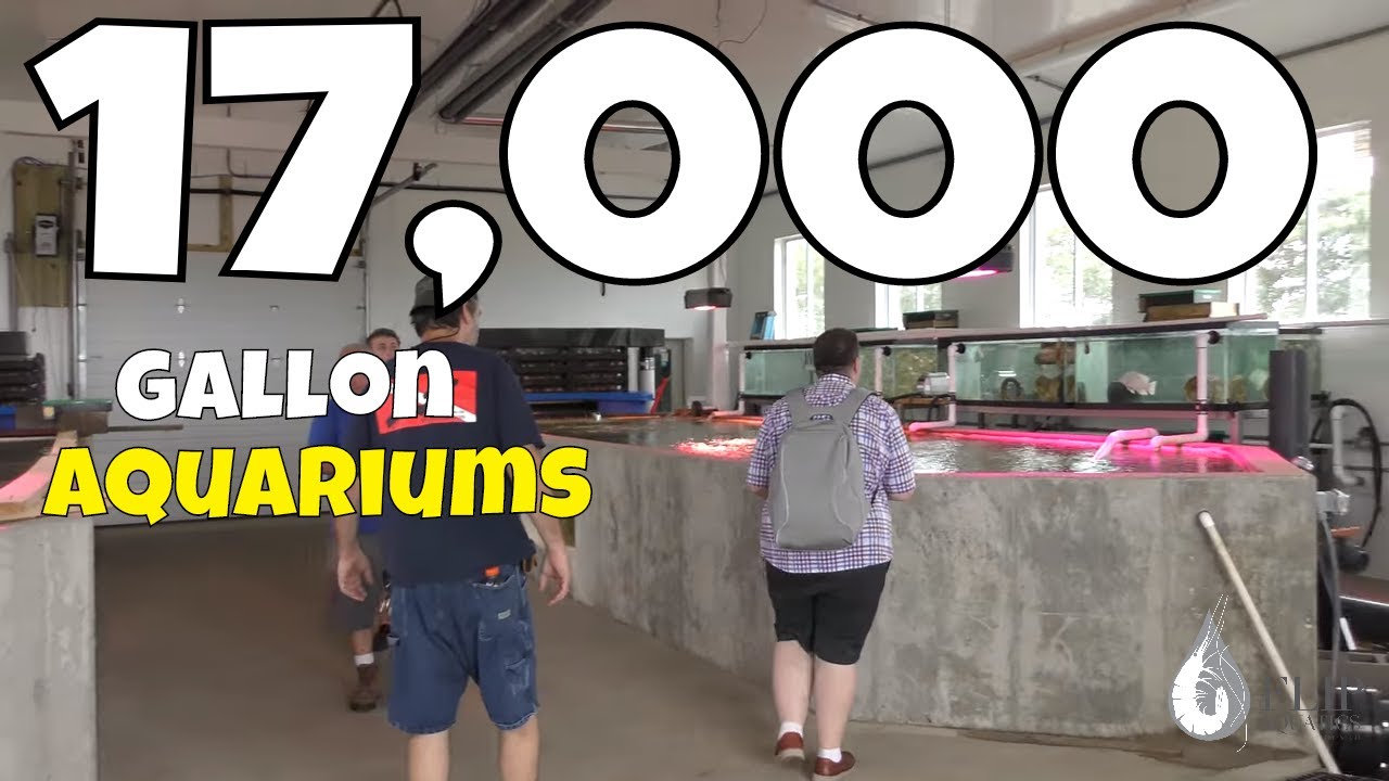 Two 17,000 Gallon Aquariums on a Private Farm Largest Aquarium I've