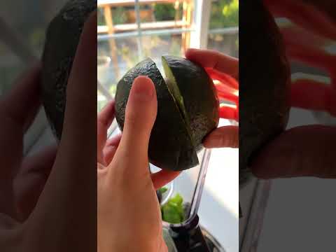 Zero Waste! Char's