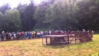 Sheep dog trials