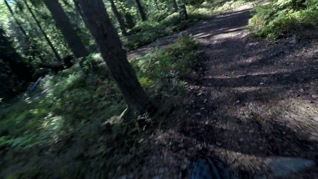 cannondale bicycle corporation bike