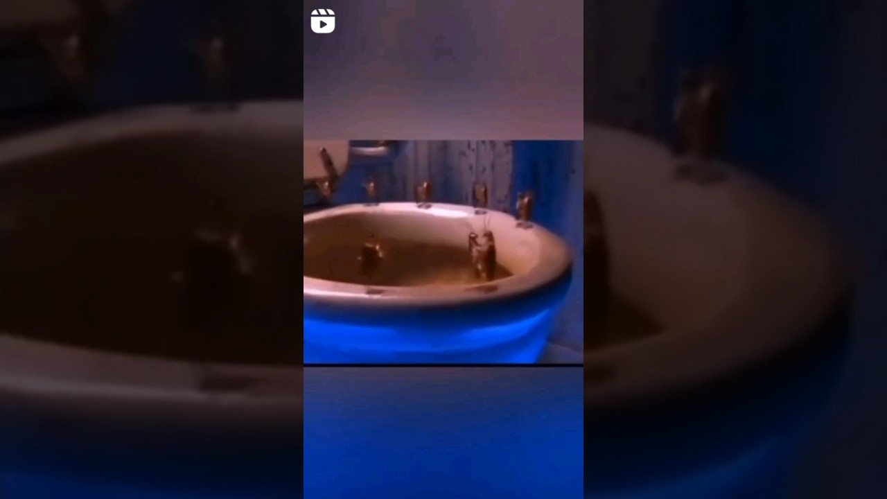 Тараканы в моей голове (забудь его забудь) #тараканы #в #голове #забудь ...