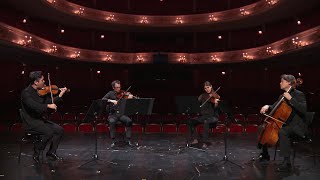 Franz Schubert - Der Tod und das Mädchen (Vorschau Kammerkonzert) | Staatstheater Nürnberg