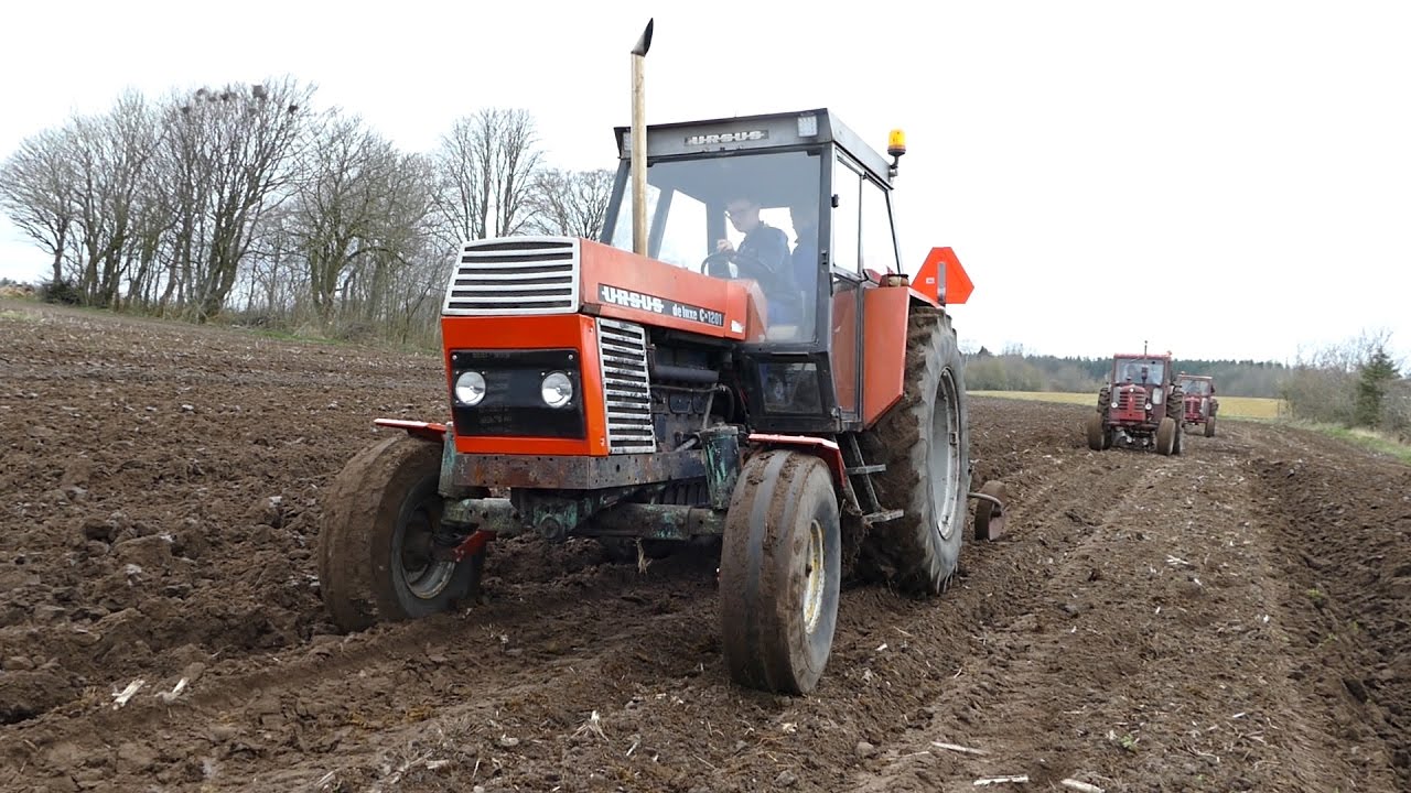 Ursus C-1201 De Luxe Ploughing with 2-Furrow Plough | Manure Season 2017 | Store Møgdag 2017