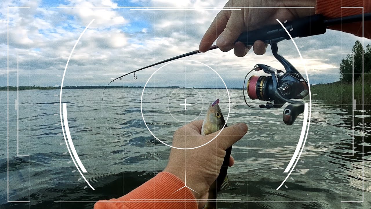 Łowiąc na DROPSHOT najszybciej namierzę OKONIE w ogromnym zbiorniku.