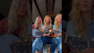 Video thumbnail of "Something in the Orange - @zachbryan1067  #countrymusic #thecastellows #shorts"