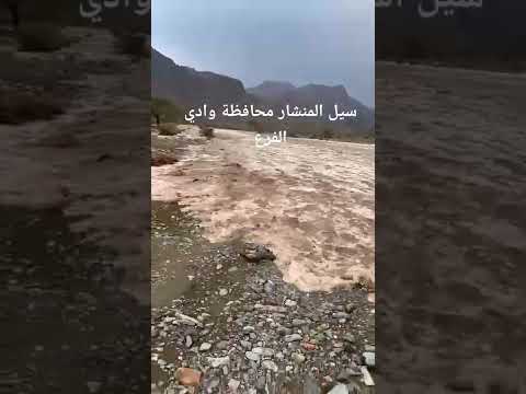 سيل وادي المنشار محافظة وادي الفرع ماشاءالله علي بن راشد الجوال الرويثي