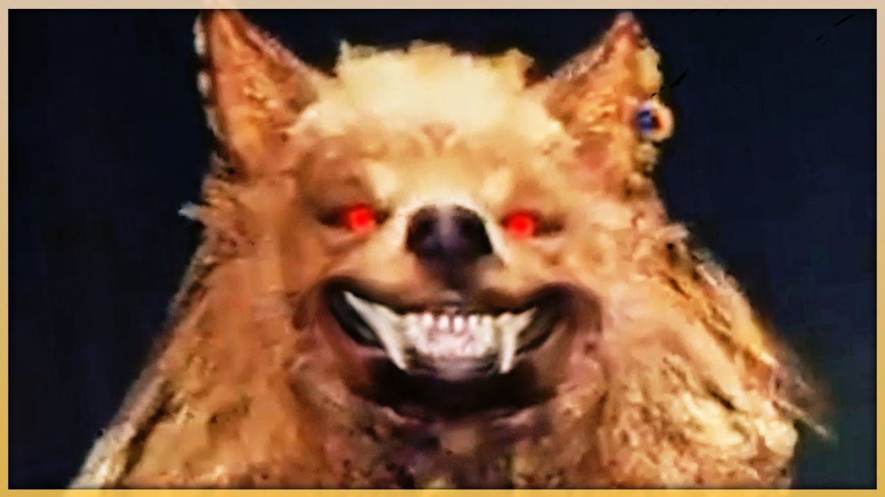 Why is This ACTUALLY Possible in Elden Ring!?