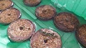 Кубики для рассады (почвоблоки, брикеты) своими руками. - YouTube