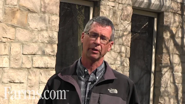 Farms.com Wheat Report: Management Tips To Fight Weed Resistance.