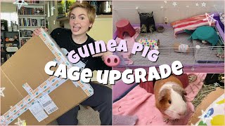 HUGE GUINEA PIG CAGE UPGRADE🤩🥳