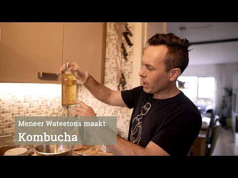 Meneer Wateetons maakt Kombucha