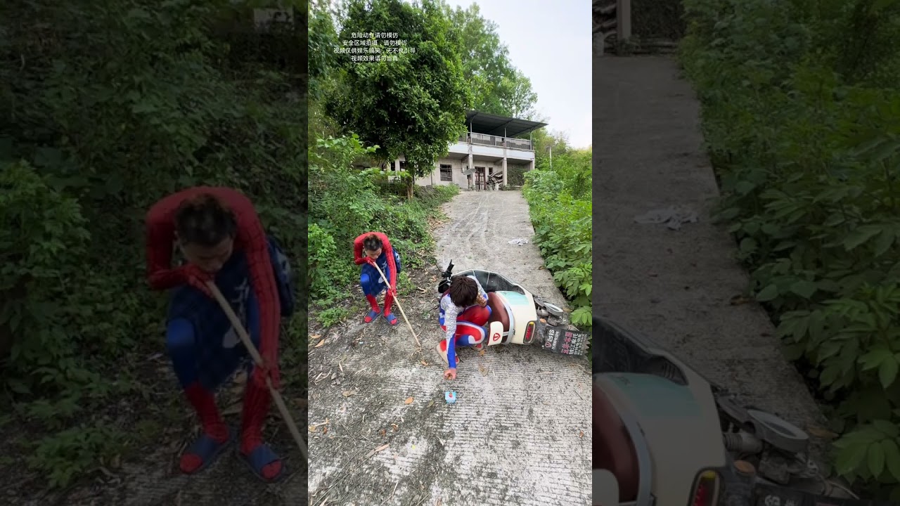 Почему этот собака крадет мою еду каждый день 