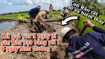 Kỷ lục của một ngày đi săn Rắn với những địa điểm đặc biệt | TGSB #960
