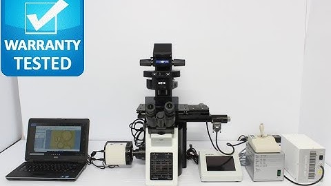Olympus IX83 Inverted Fluorescence Motorized Microscope [BOSTONIND] - 16442