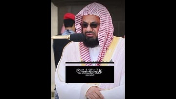 ﴿أَفَلا يَنظُرونَ إِلَى الإِبِلِ كَيفَ خُلِقَت﴾ اواخر سورة الغاشية بصوت الشيخ سعود الشريم 🖤.