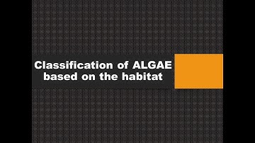 ALGAL CLASSIFICATION HABITAT|| CLASSIFICATION OF ALGAE BASED ON HABITAT|| #shorts