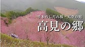 高見の郷公式ムービー19 Youtube 高見の郷公式ムービー19 Youtube
