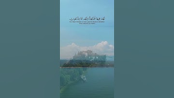 سورة يس آية (٥٥ إلى ٥٨) القارئ بشير عبدالله