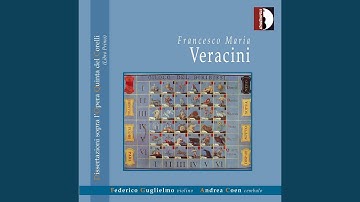 Violin Sonata No. 1 in D Major: II. Allegro - Adagio