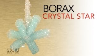 Borax Crystal Star - Sick Science! #066