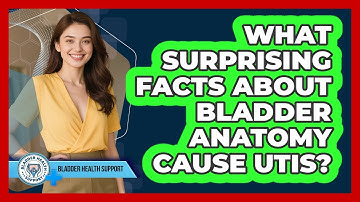 What Surprising Facts About Bladder Anatomy Cause UTIs? - Bladder Health Support