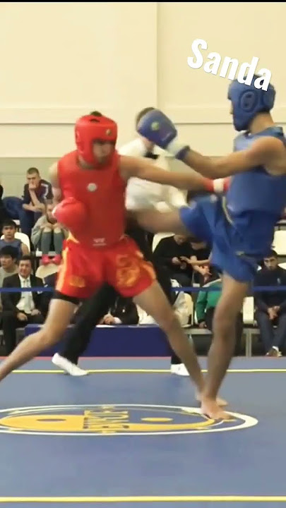 Sanda Fight #wushusanda #wrestling #takedown #sanda #chinesekickboxing