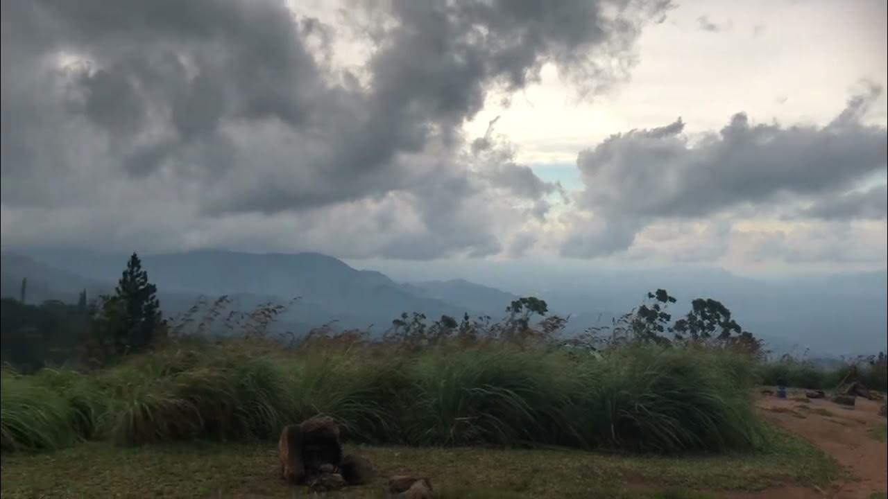 Bellwood view point YouTube