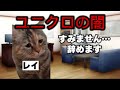 ユニクロで働いたら…