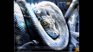 Information Sharewar3k  - Pretend News