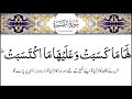 Surah 2   baqarah  aayat 285 and 286