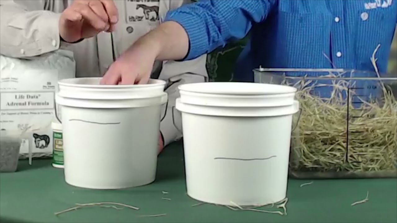 Feeding the Cushing's Horse