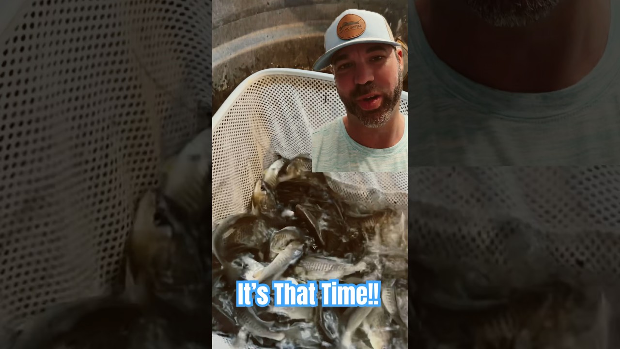 Spring is approaching & 