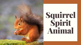 Squirrel Spirit Animal: A Complete Guide — Celebrate Pagan Holidays