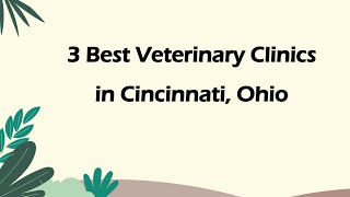 3 Best Veterinary Clinics in Cincinnati, Ohio | Animal Hospitals