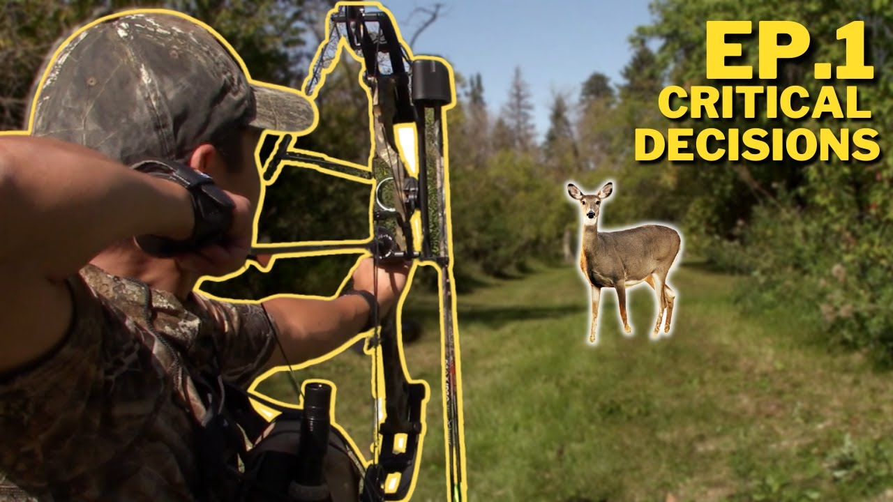 Bow Hunting Early Season Deer from the Ground Manitoba Deer Hunting 2021 Ep.1 YouTube