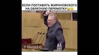 Речь Жириновского В Обратной Перемотке Похожа На Гитлера