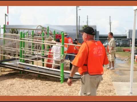 Our Childrens Academy playground build 2008