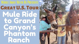 A mule ride to Grand Canyon’s Phantom Ranch