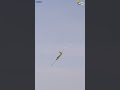 Giant Swift Glider ProWing Friday 2026 #rc #gernotbruckmann #rcflying #glider #rcplane #prowing