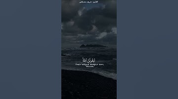 ولئن سألتهم من خلق السماوات والأرض ليقولن الله - تلاوة جميلة وهادئه -
