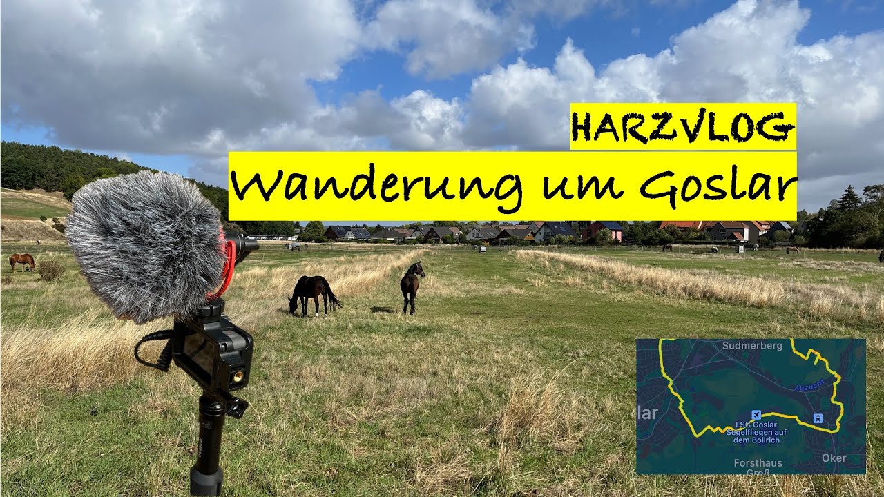 Wanderung um Goslar (2022)
