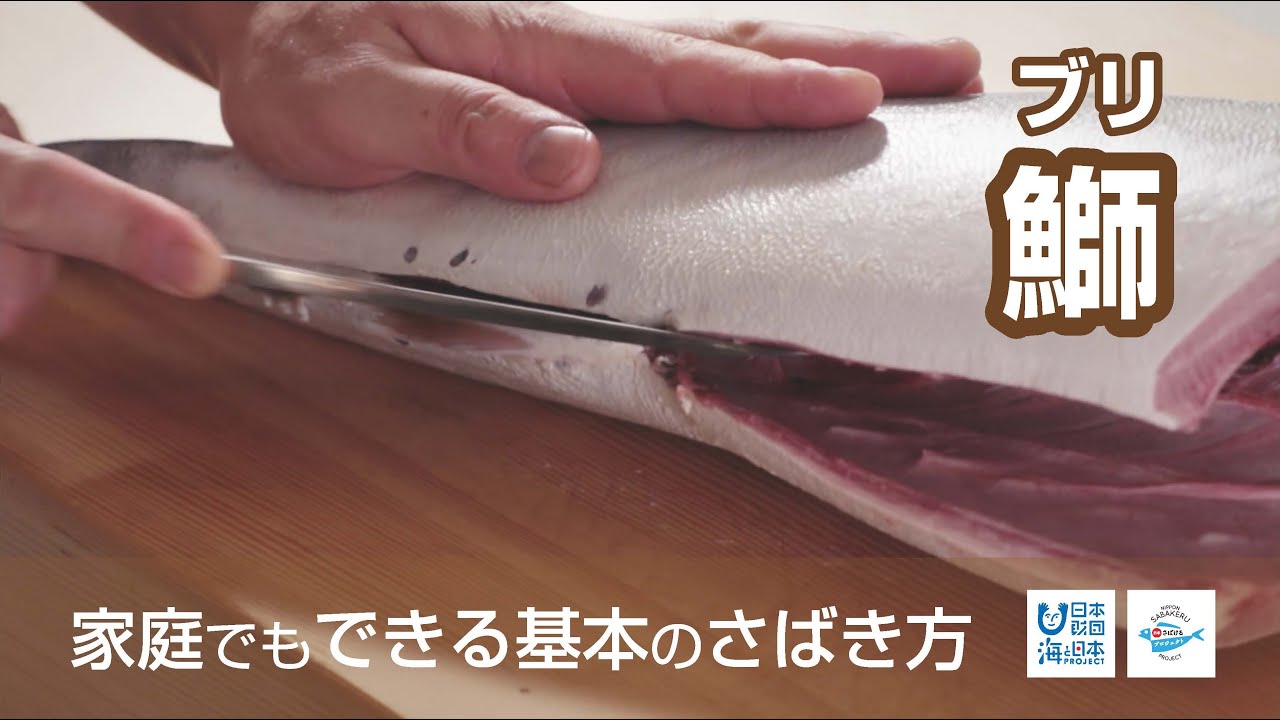 鰤 ぶり のさばき方 How To Filet Amberjack 日本さばけるプロジェクト 海と日本プロジェクト Youtube
